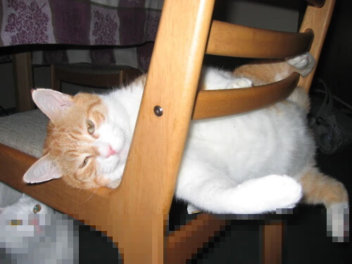 爱游戏官方-英超豪门争锋，精彩进球和神级扑救争奇斗艳，英超豪门爆冷