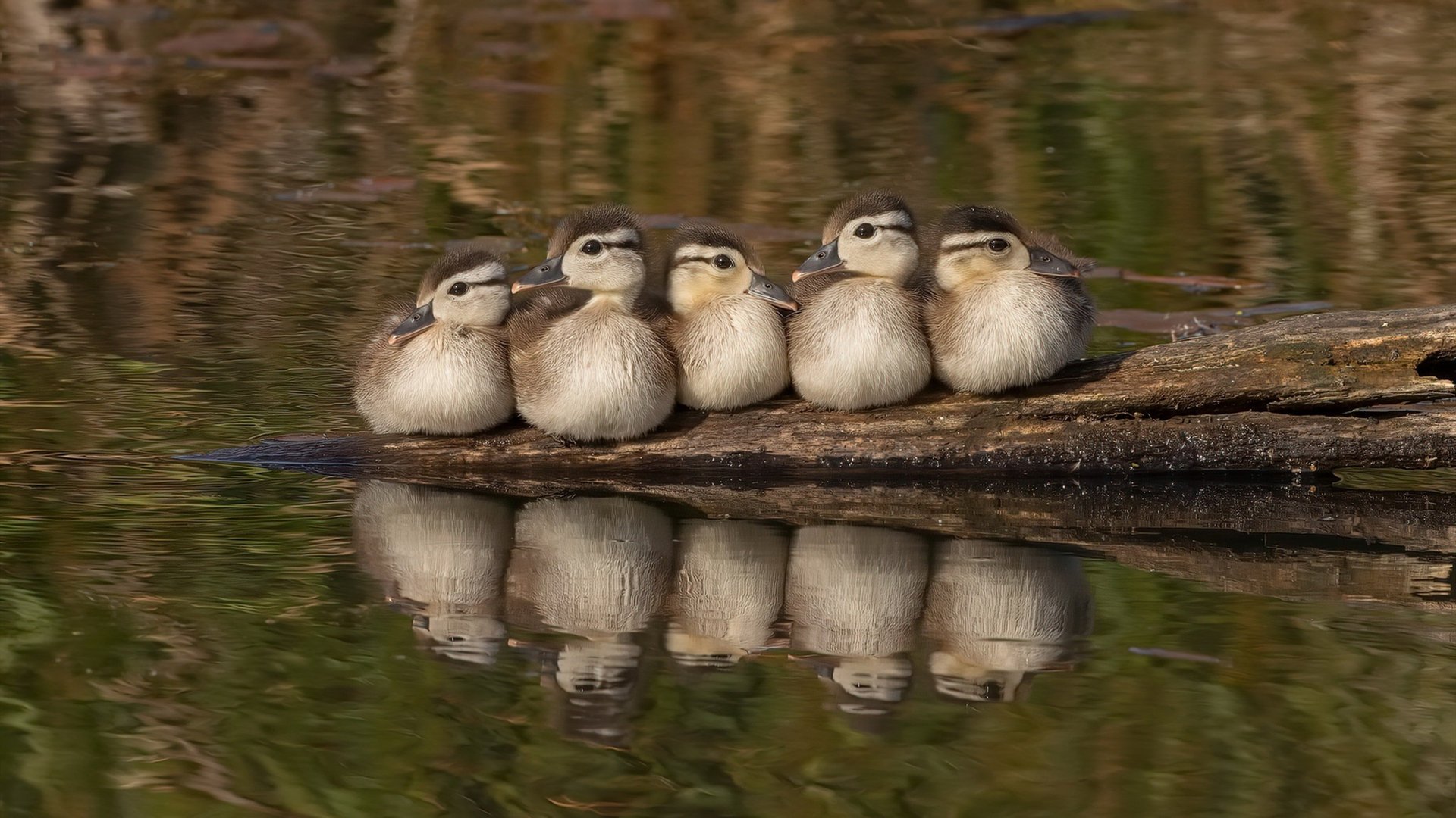 西甲:皇马在主场3-0完胜巴萨,榜首之争白热化,西甲皇马3_1巴萨