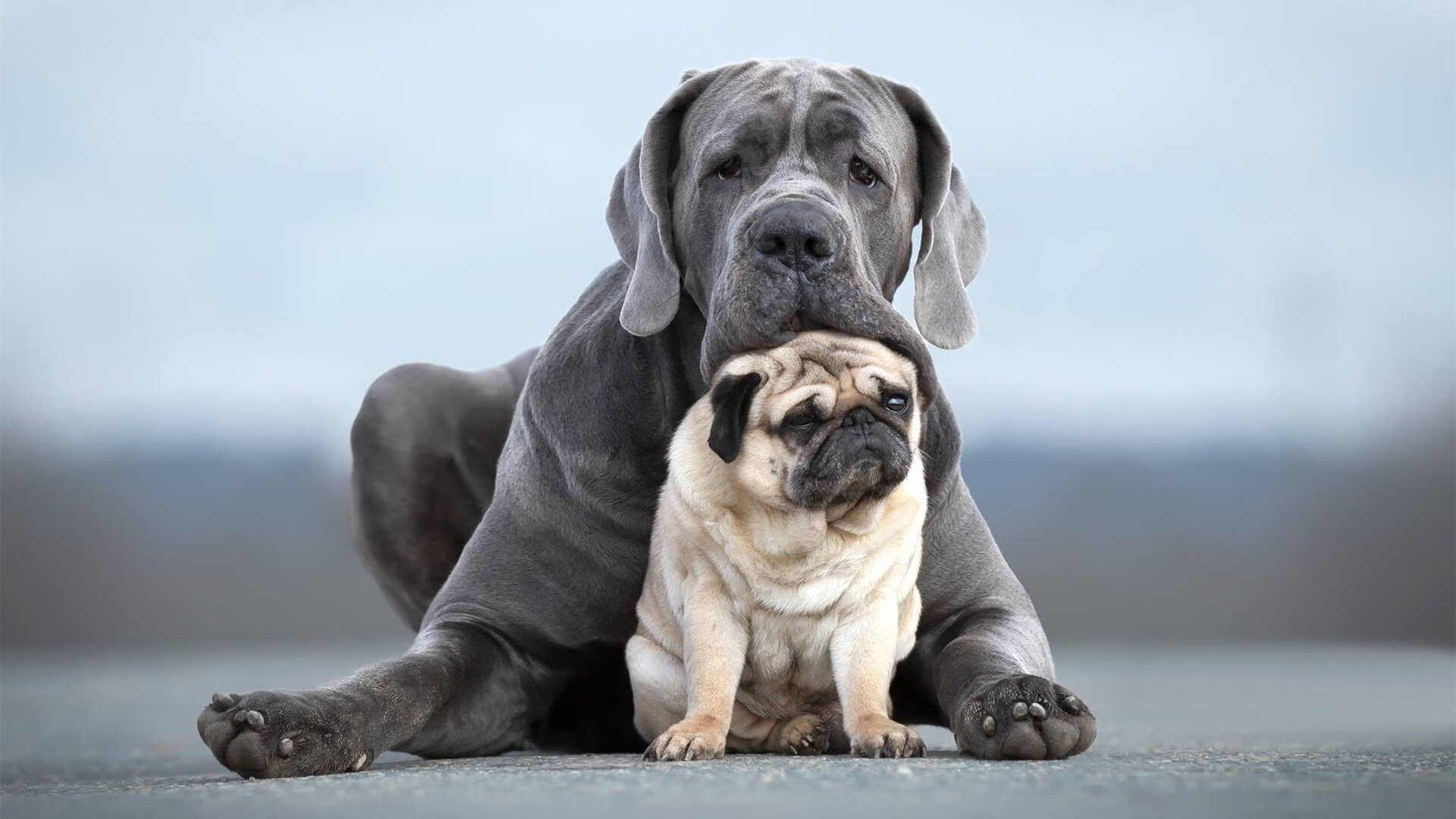 赛段特写：最具代表性的赛段全景剪辑，赛段是什么意思