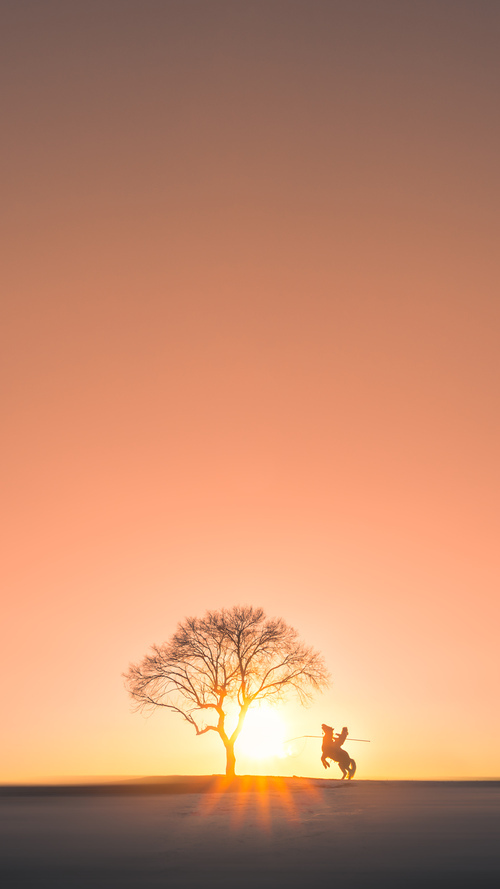 青少年篮球训练基地在全国建立，全面推进青训计划，全国青少年篮球训练营
