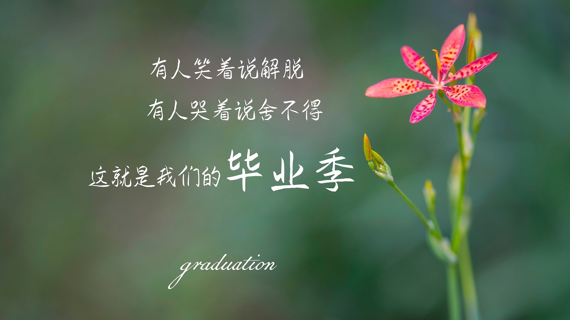 爱游戏官方-墨西哥队主帅强调体能和速度训练，墨西哥队员