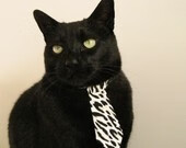 山东泰山年轻球员崭露头角,山东泰山队主帅