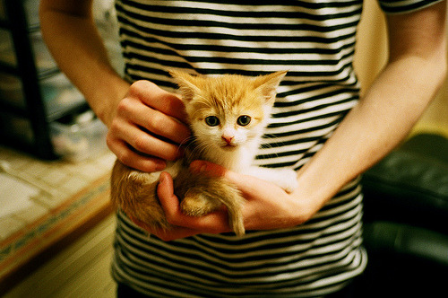 爱游戏正版-巴朗加国王连胜提升球队士气，巴朗加斯