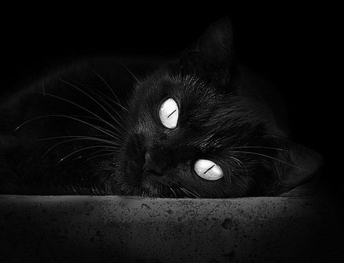 莱比锡红牛逼平对手，积分榜上升一位，莱比锡红牛是哪国球队