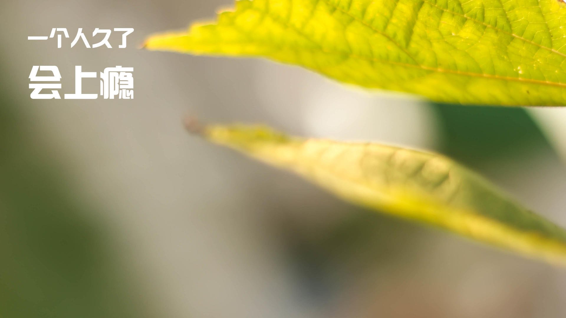 篮球运动员专项力量训练方法及其效果评估，篮球力量训练的特点和主要方法手段