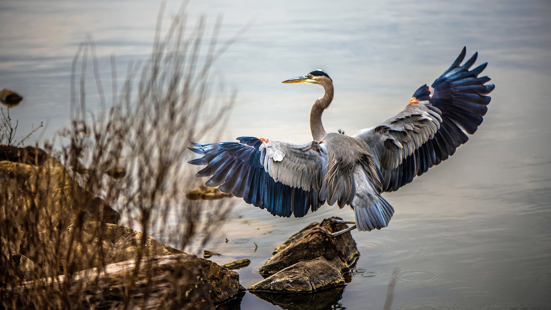 内马尔赛季末伤退,球队士气受挫,内马尔球队2021